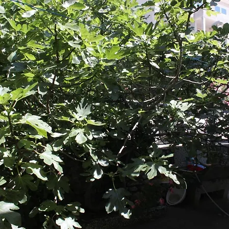 And By The Sea Baska Voda, Makarska - 6748 Baška Voda